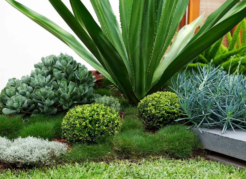 Family Garden