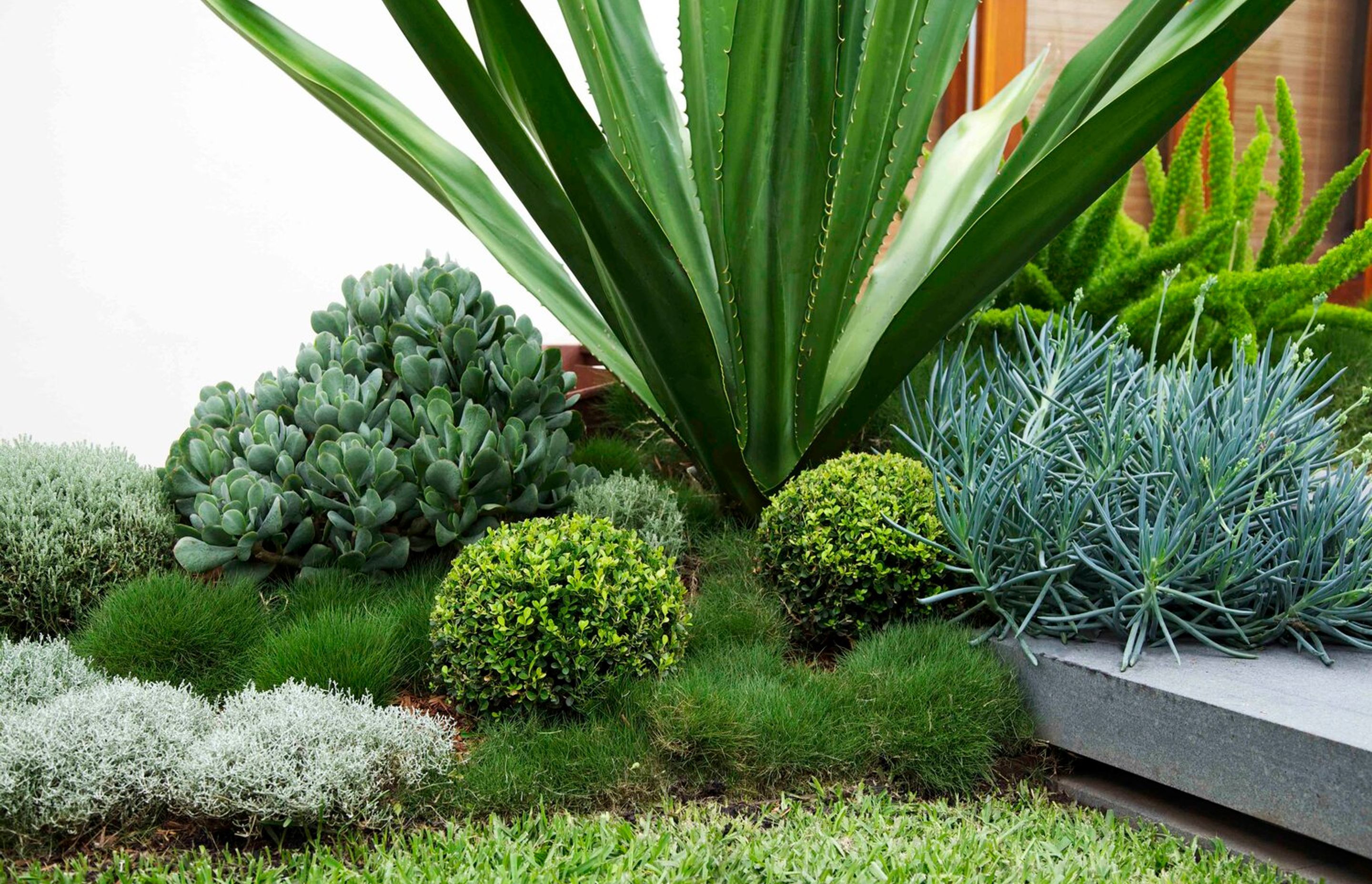 Family Garden