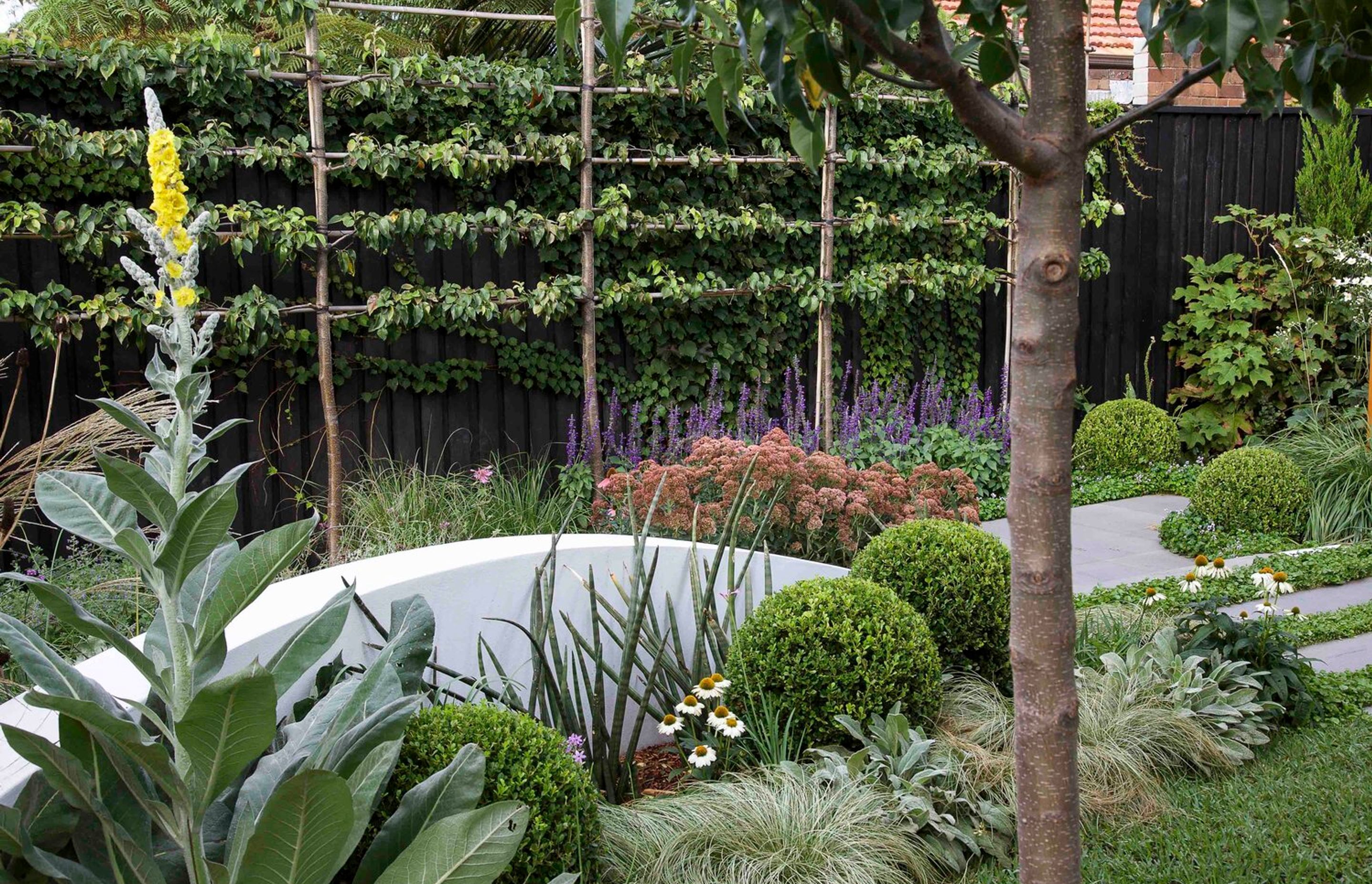 Glenn's Garden