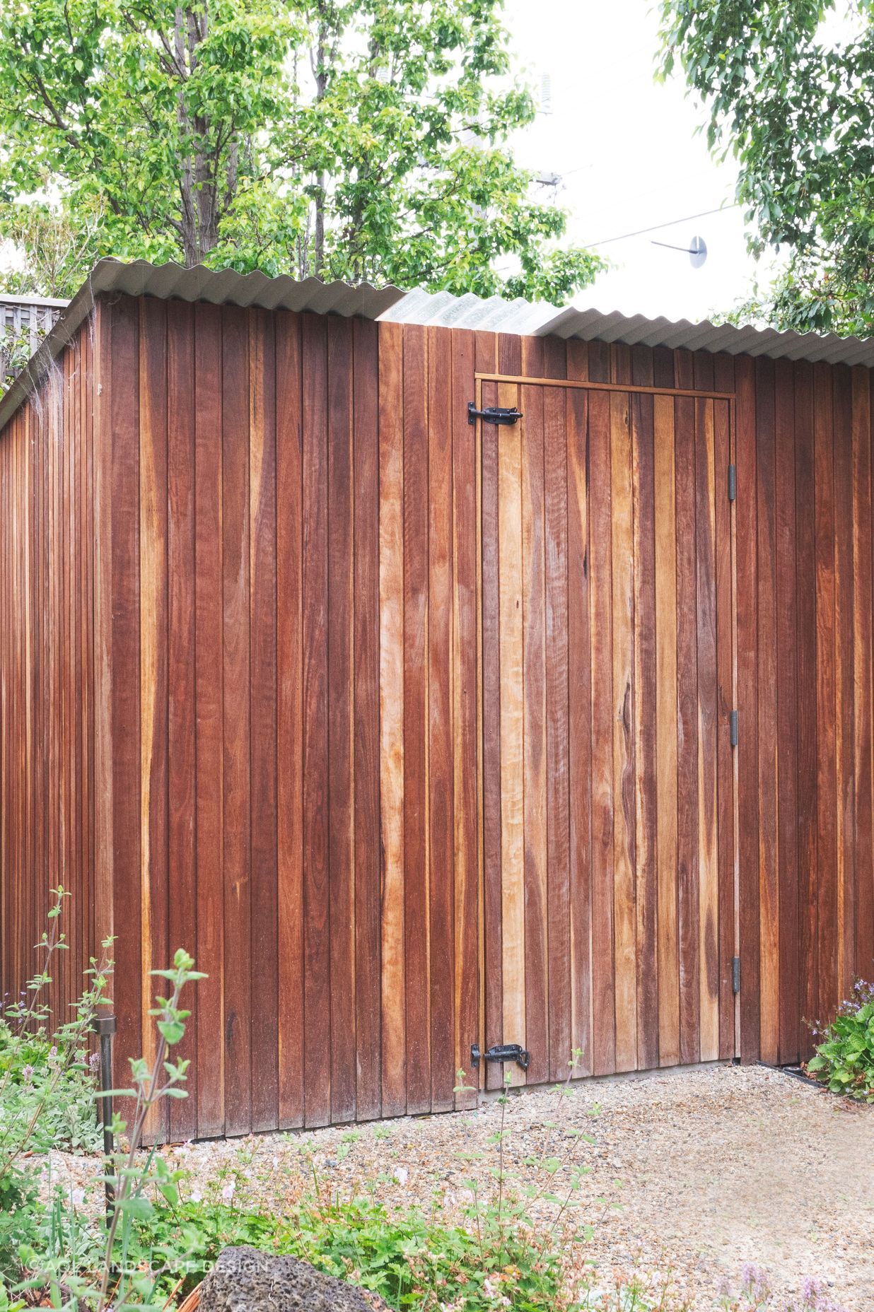 TL02803-square.jpg