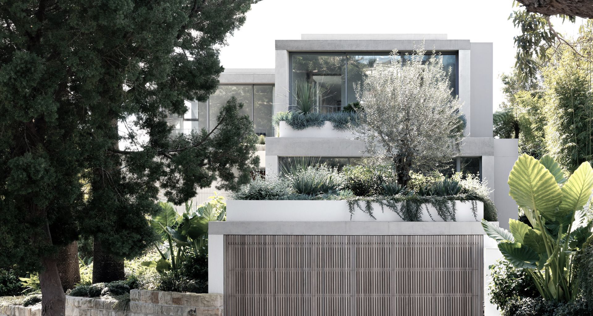 Bellevue Hill - 2 banner