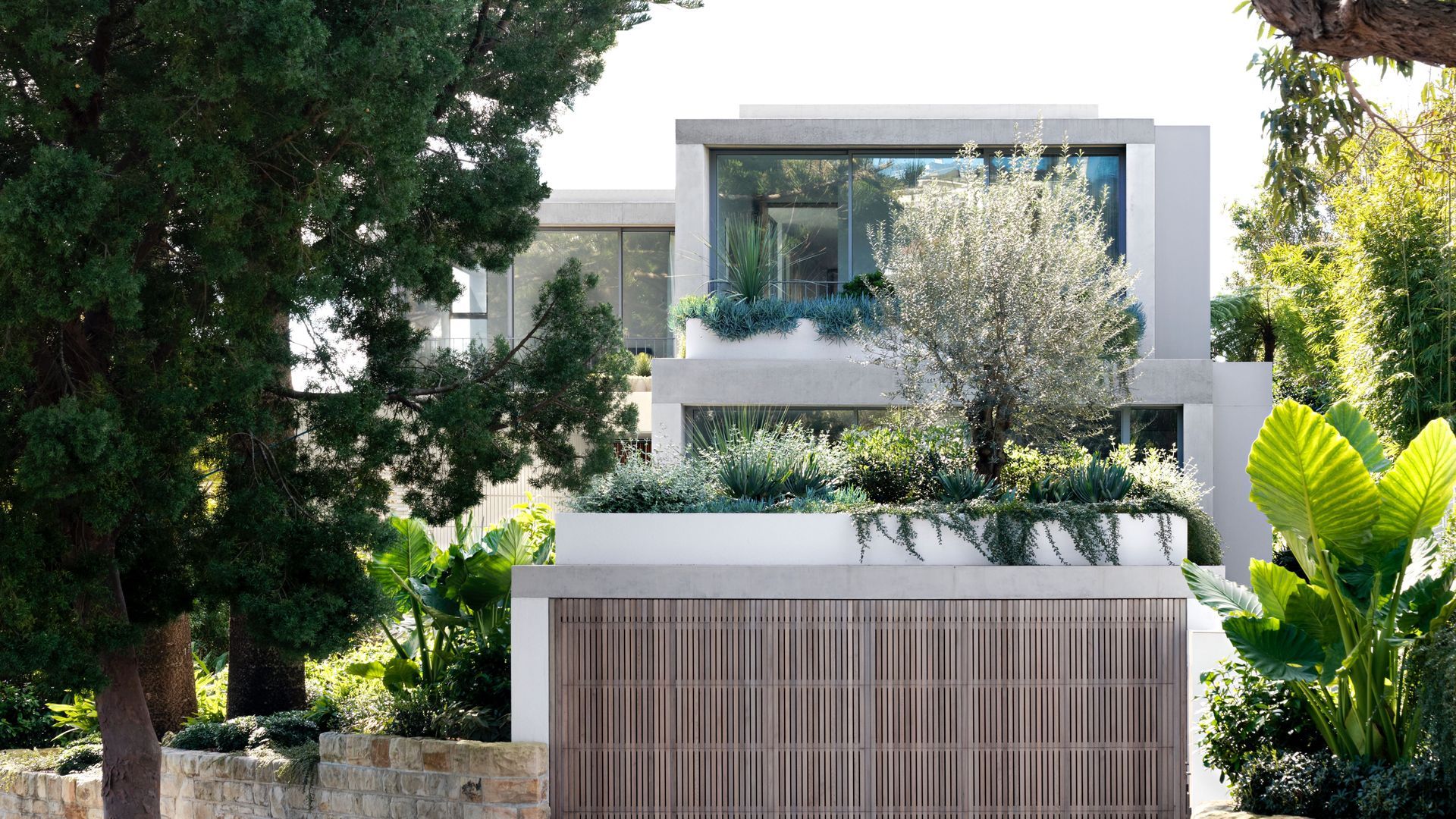Bellevue Hill - 2 banner