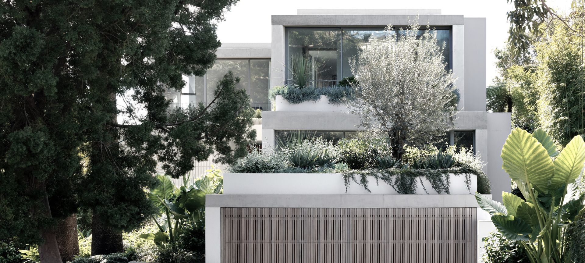 Bellevue Hill - 2 banner