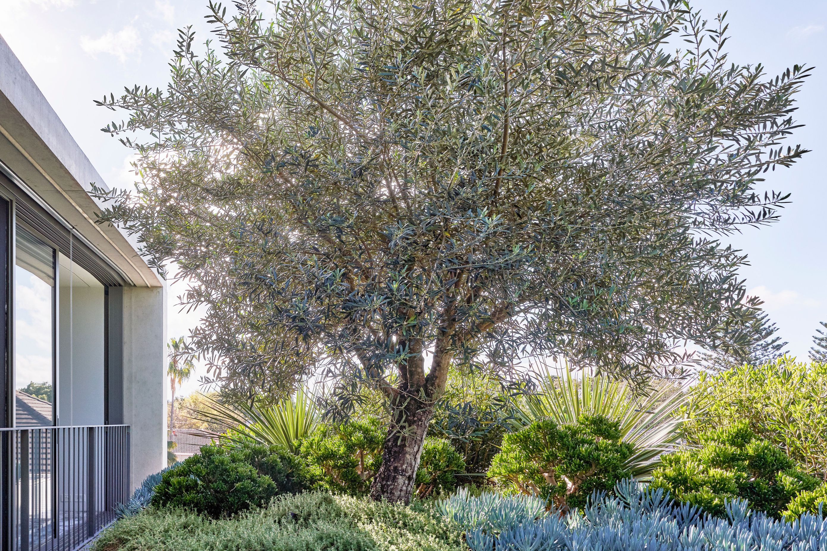 Bellevue Hill - 2