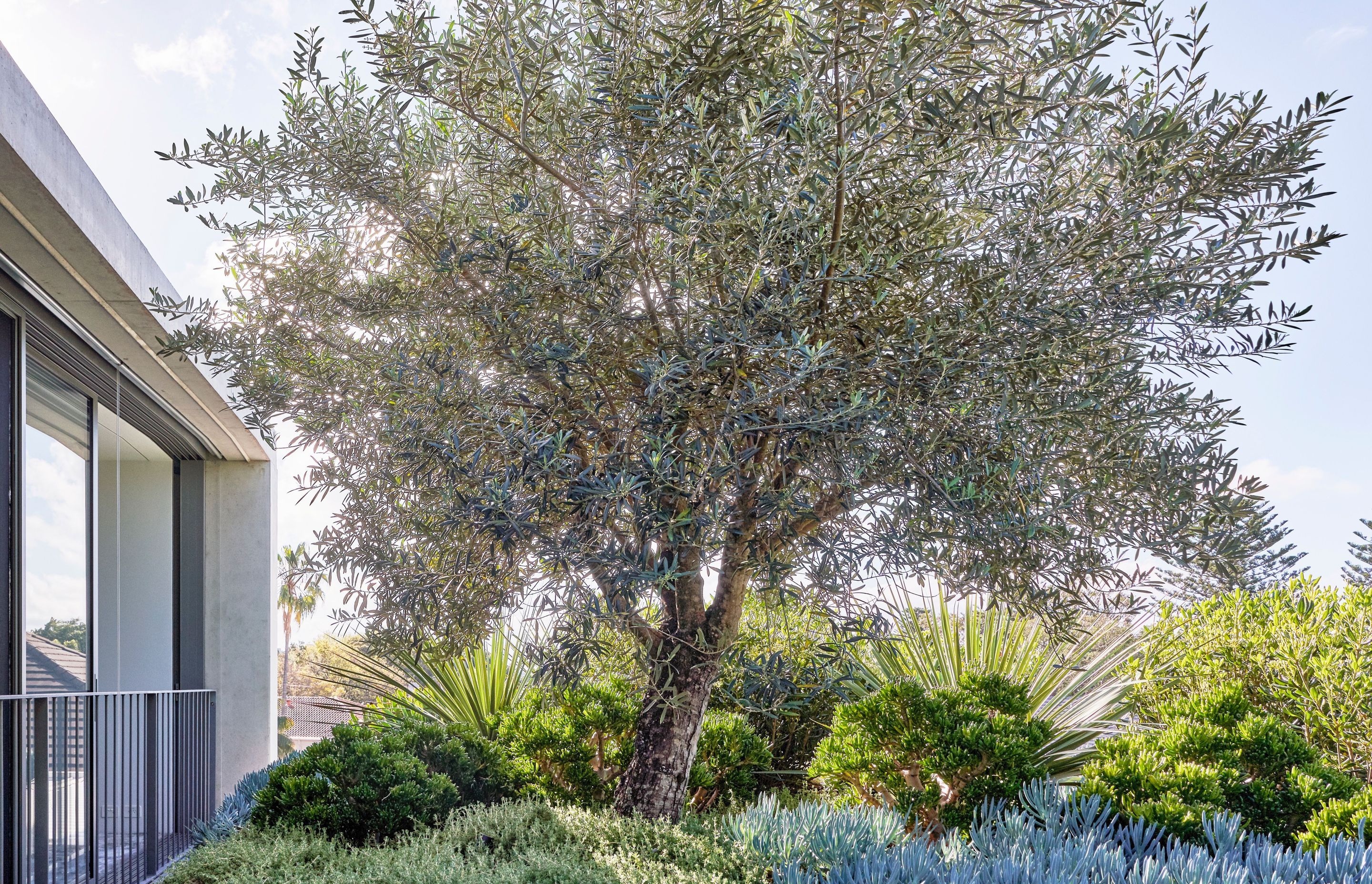 Bellevue Hill - 2