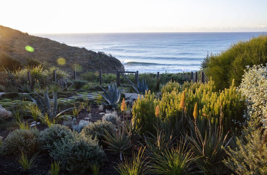 Turimetta Beach