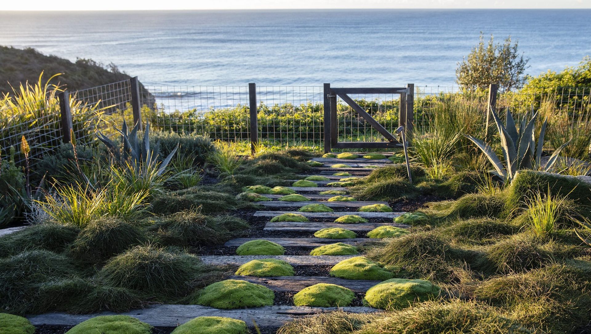 Turimetta Beach banner
