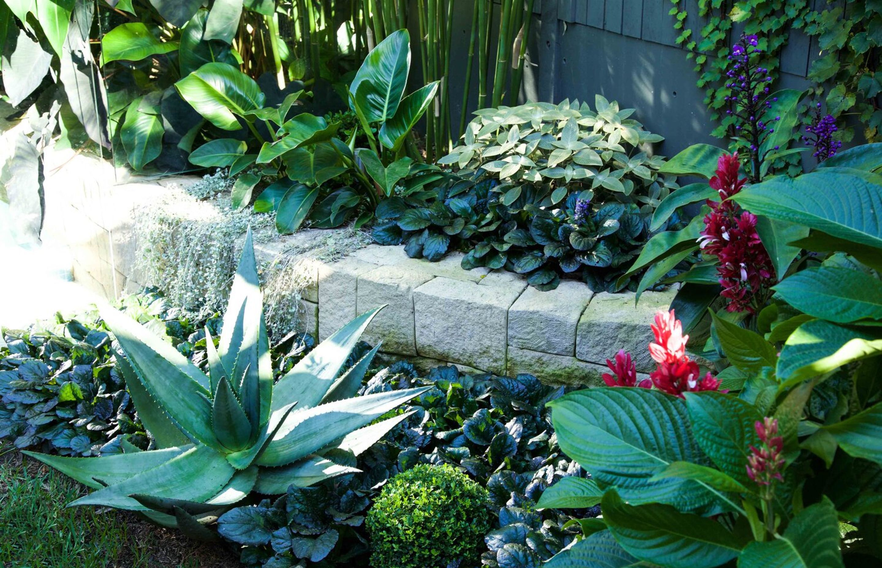 Plunge Garden