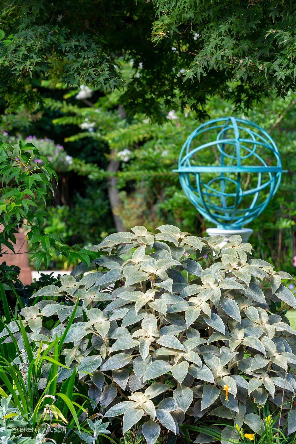 The Jewel Garden