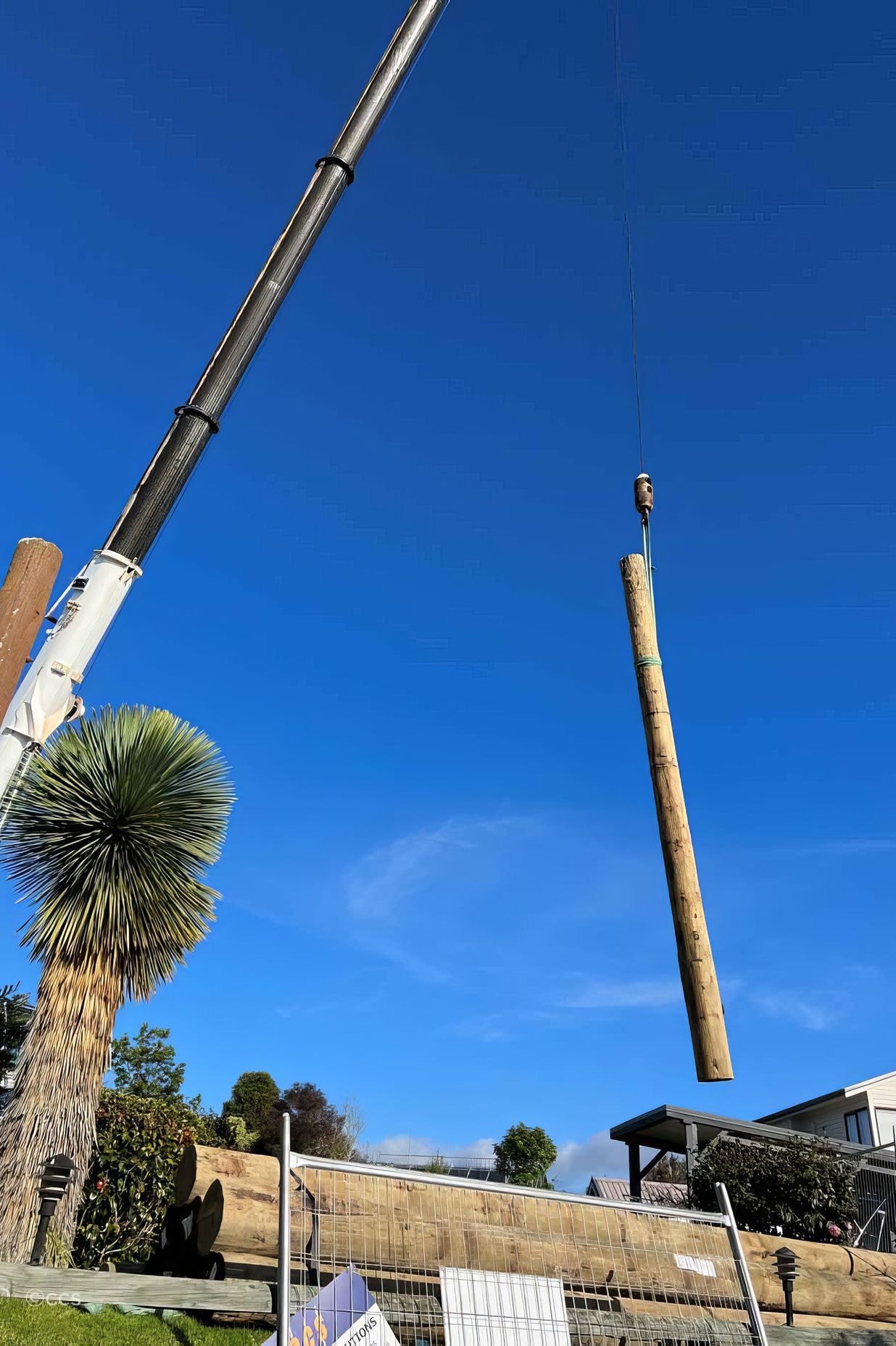 Timber-Poles-Whakatane-low-resolution-v1-2x.jpg