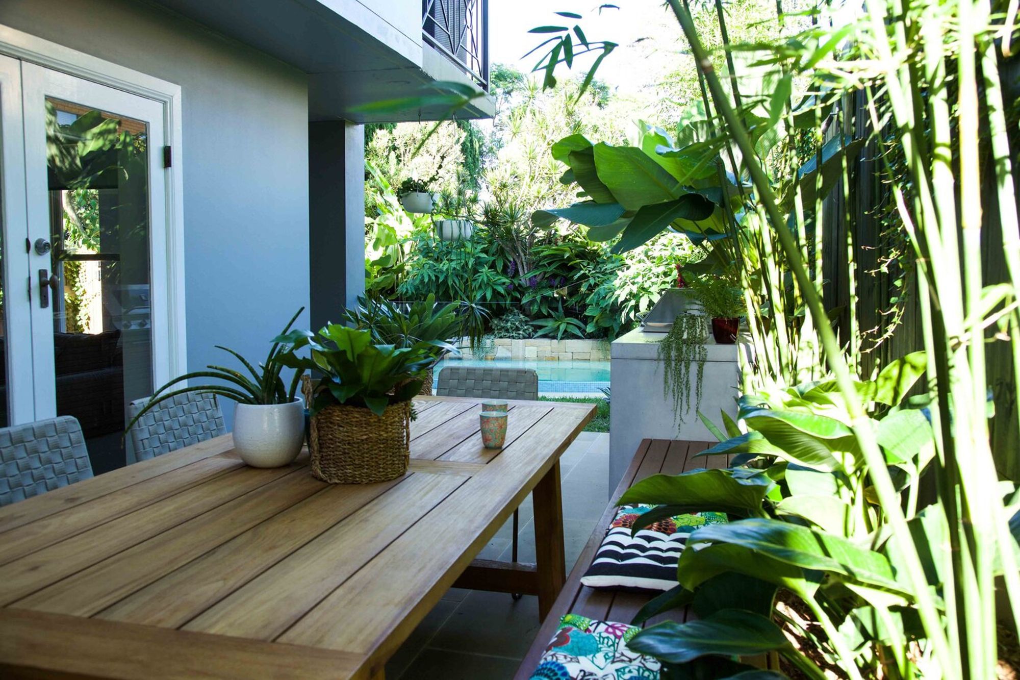 Plunge Garden