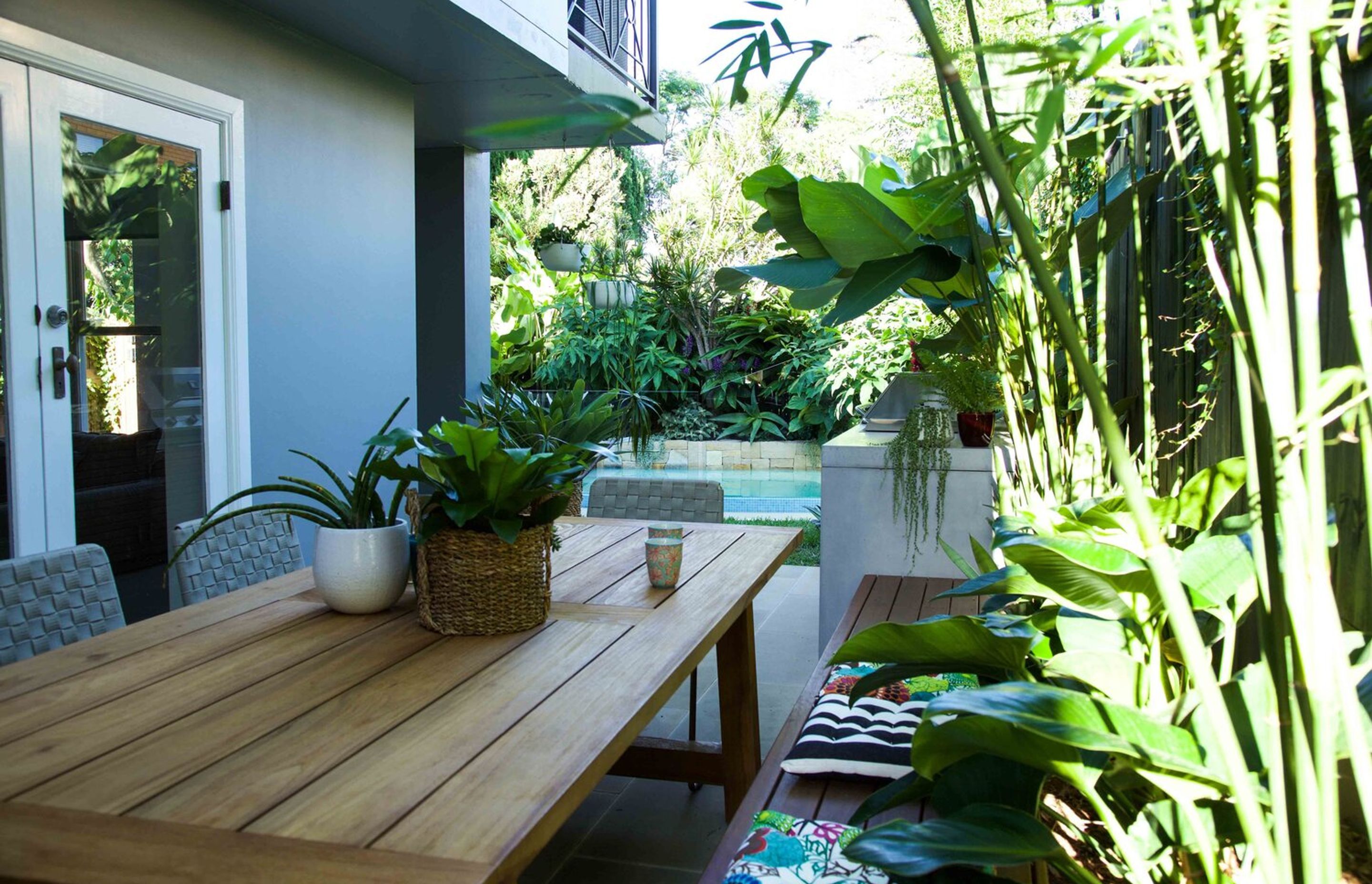 Plunge Garden