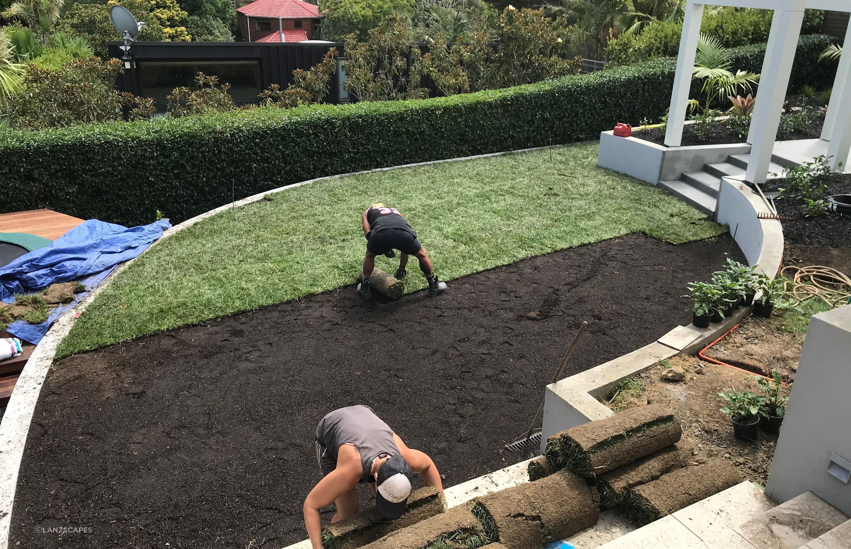 Crew laying lawn. Ready Lawn - Tall fescue