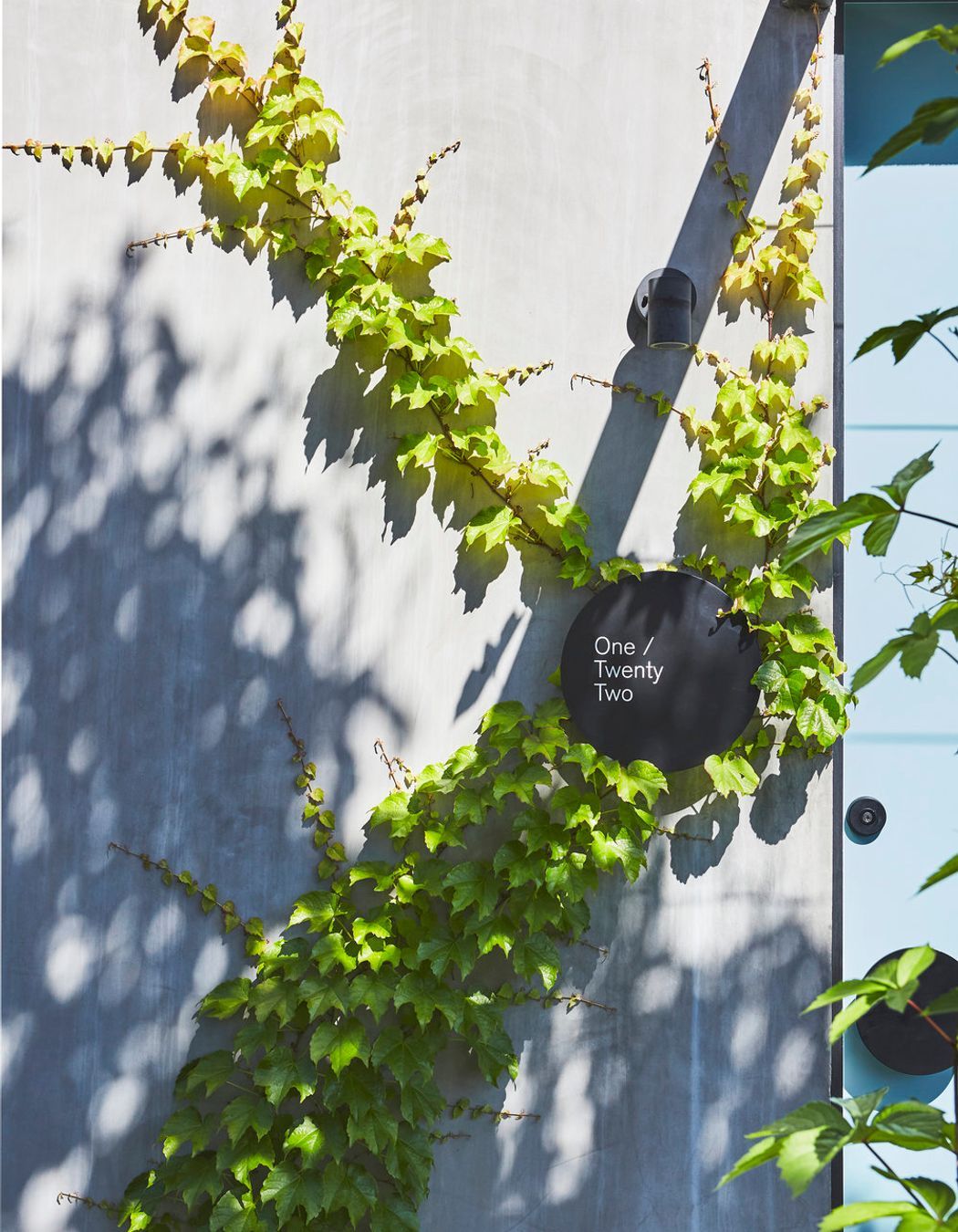 Two Little Chestnuts, Cremorne