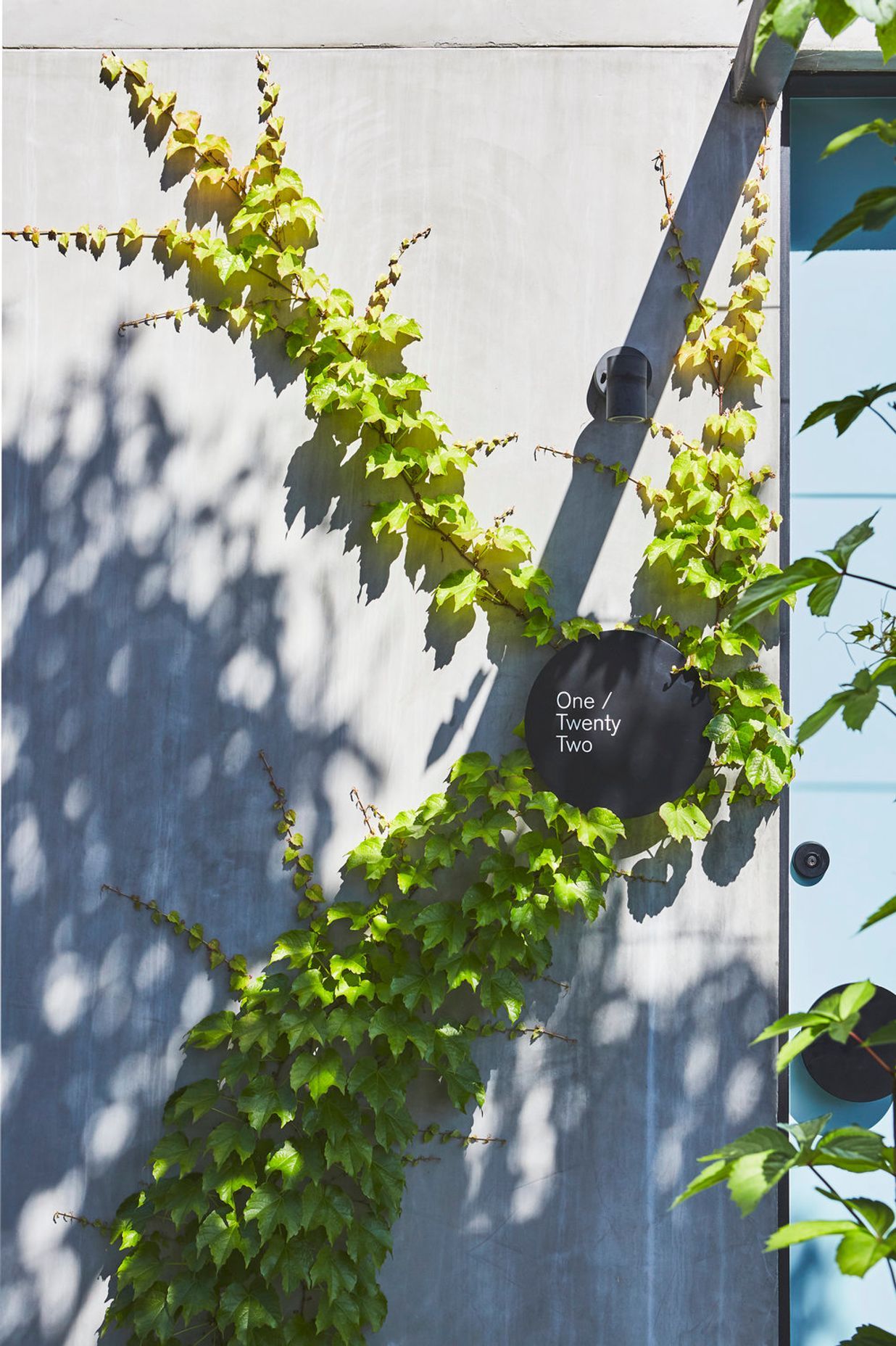 Two Little Chestnuts, Cremorne