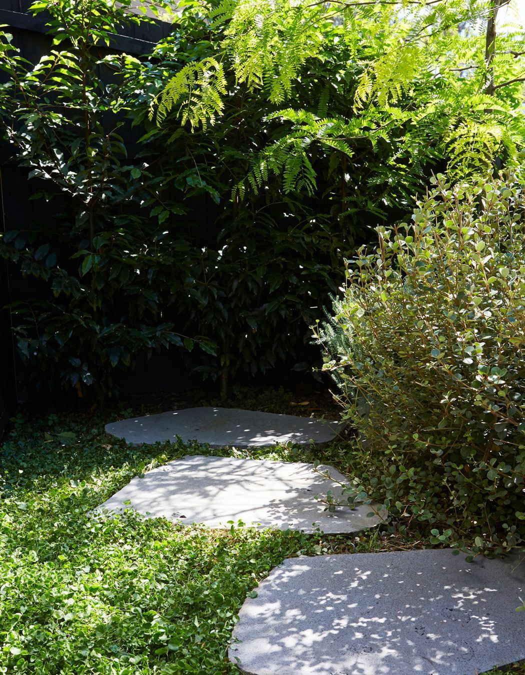 Two Little Chestnuts, Cremorne