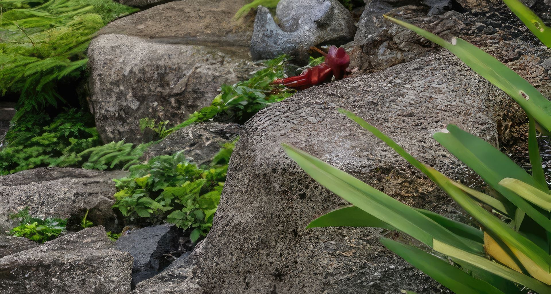 Hawaiian Landscape banner