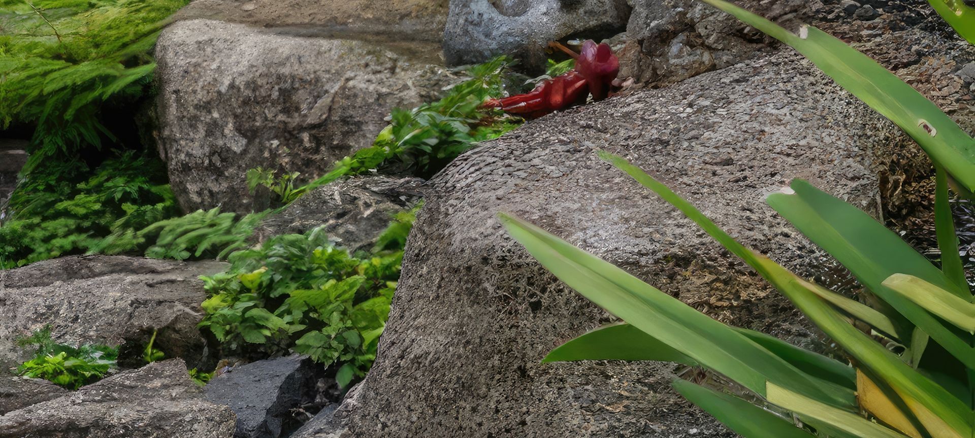 Hawaiian Landscape banner