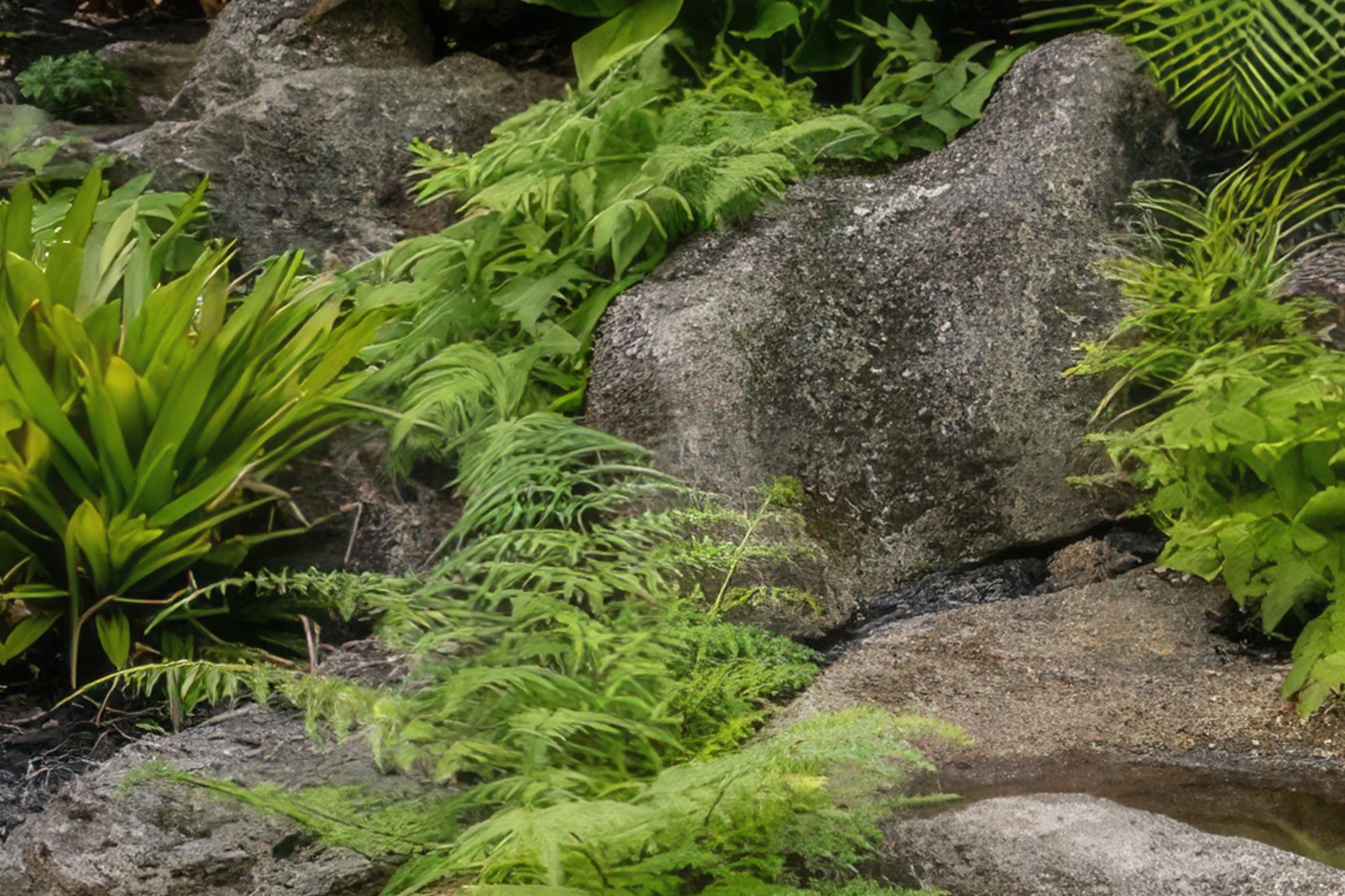 Untitled-2jpg-nggid03216-ngg0dyn-250x200x100-00f0w010c011r110f110r010t010-gigapixel-standard-scale-600x.jpg