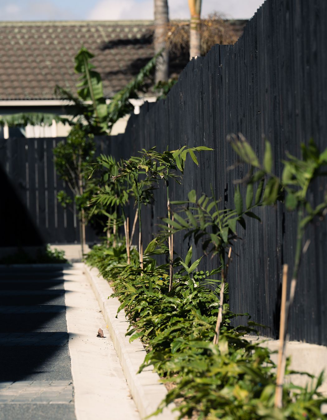 Residential Landscape Mt Albert