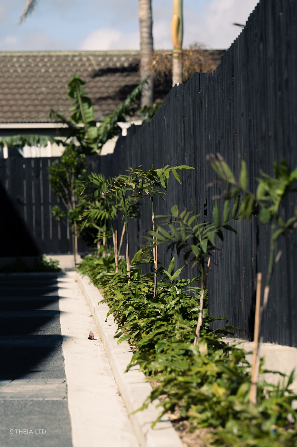 Residential Landscape Mt Albert
