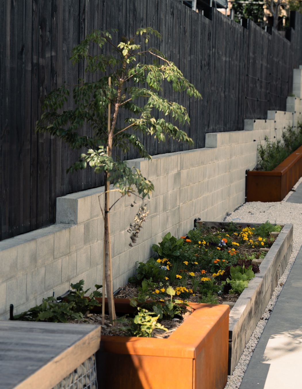 Residential Landscape Mt Albert