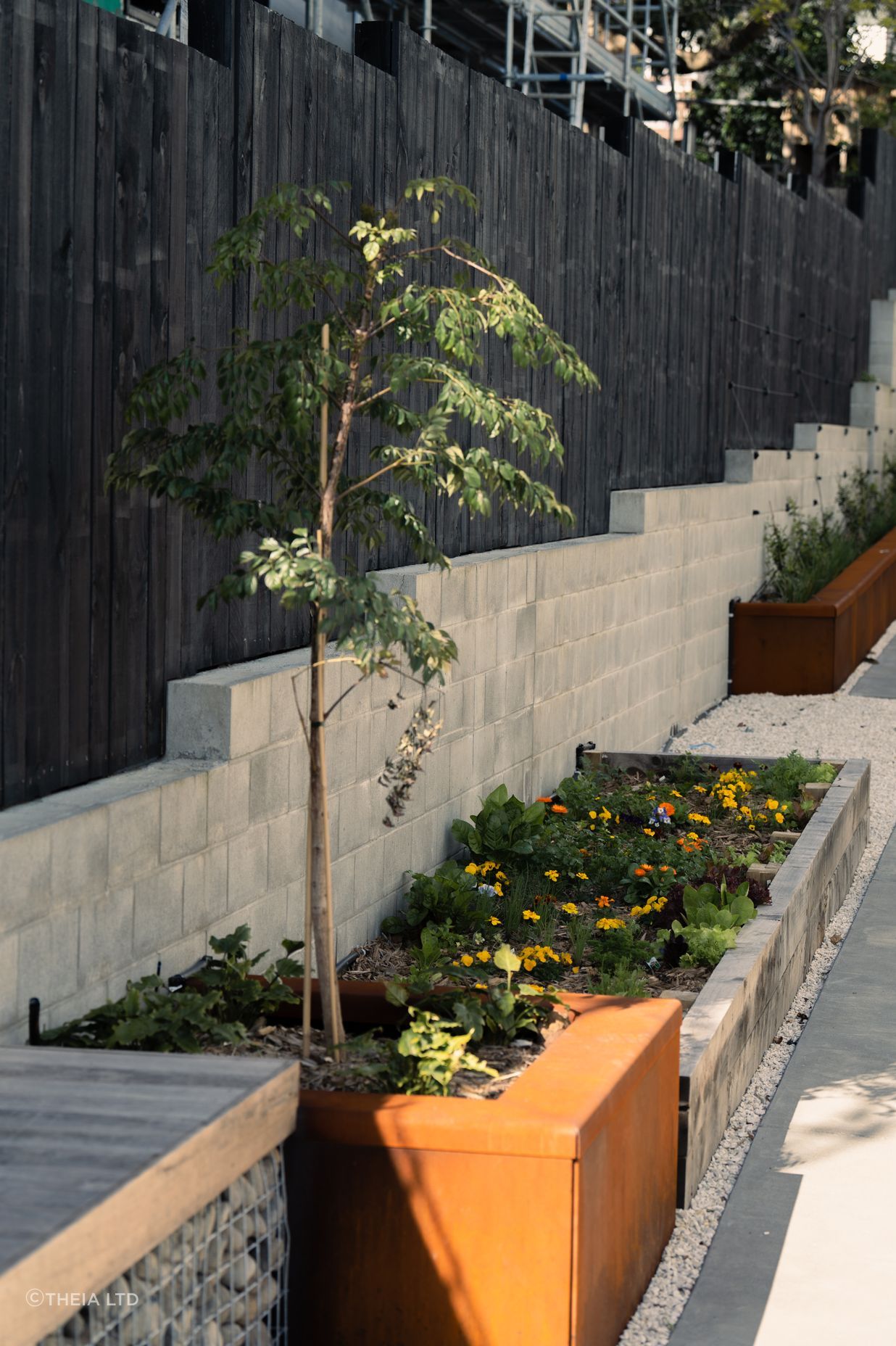 Residential Landscape Mt Albert