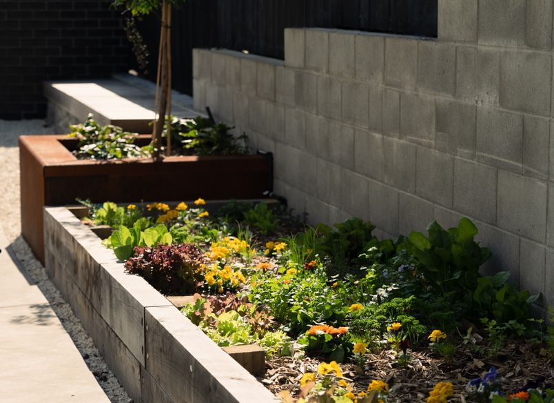 Residential Landscape Mt Albert
