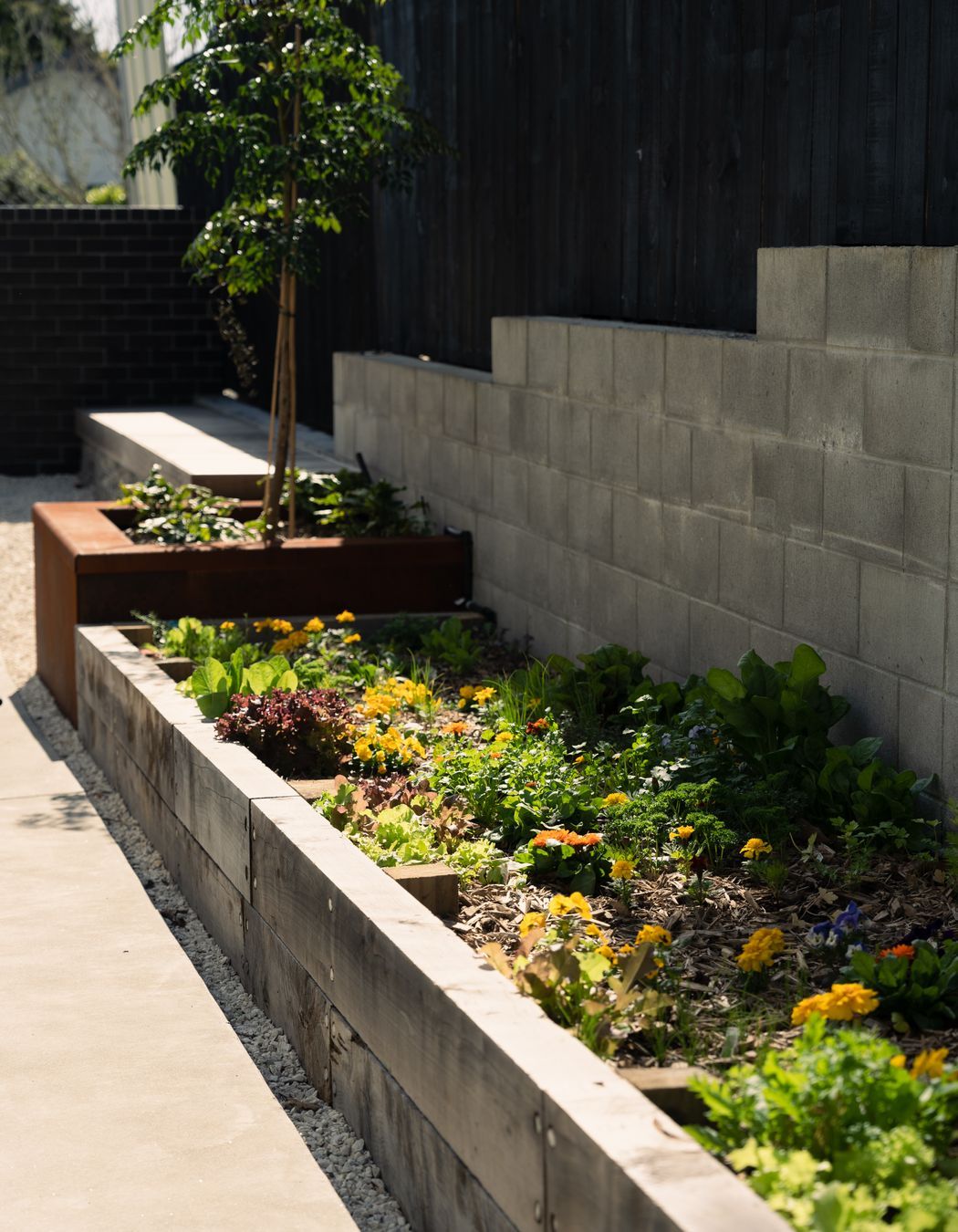 Residential Landscape Mt Albert