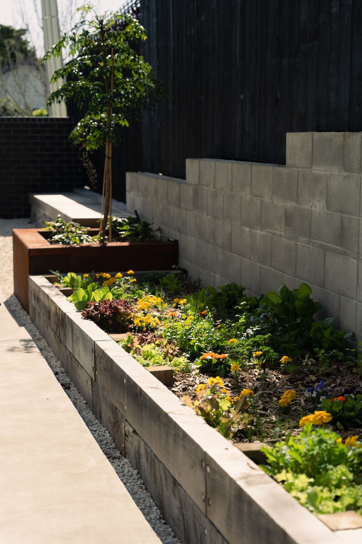 Residential Landscape Mt Albert