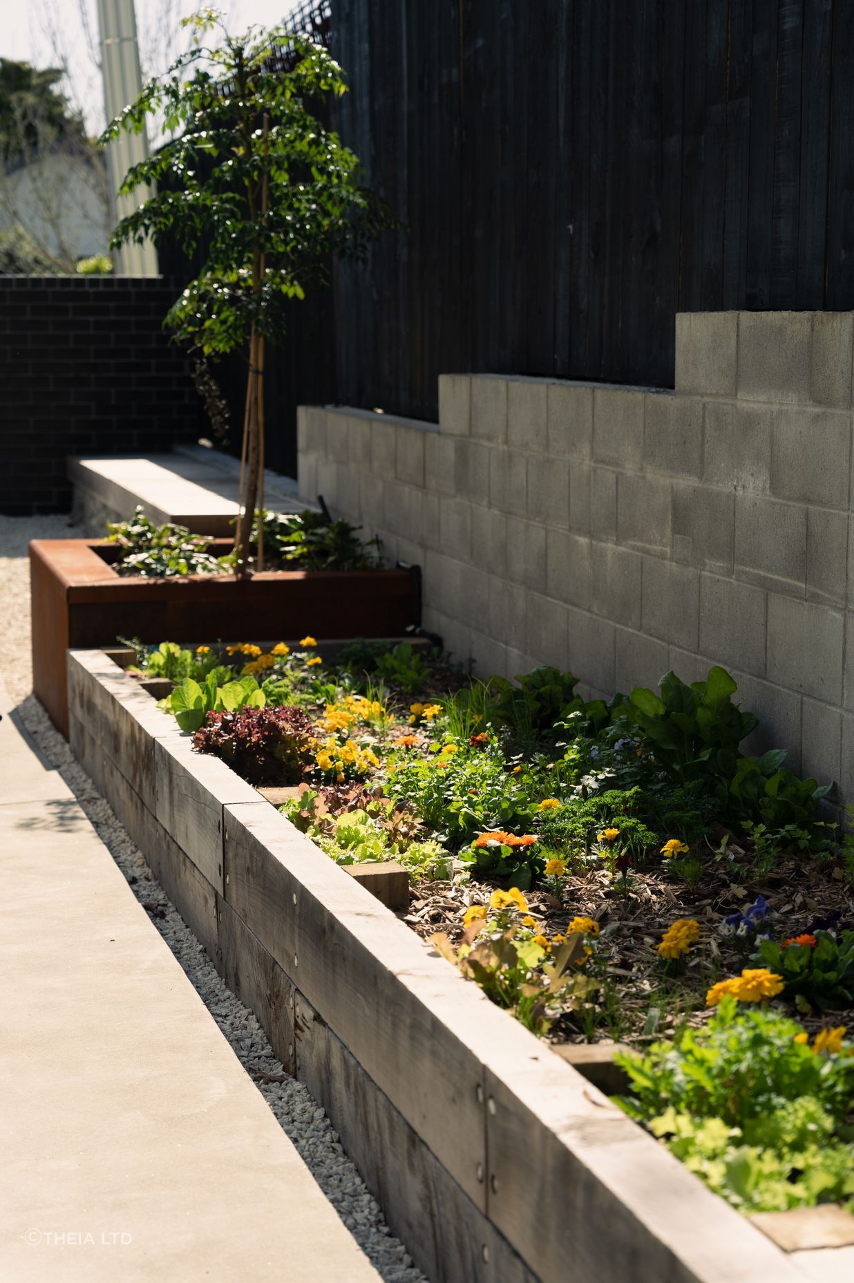 Residential Landscape Mt Albert