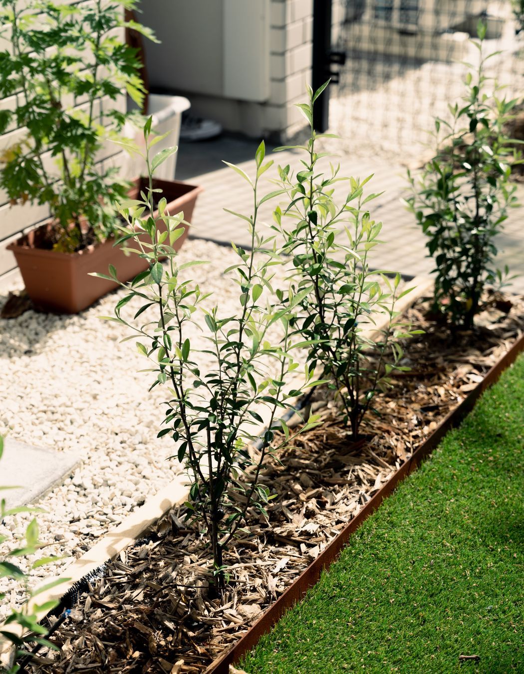 Residential Landscape Mt Albert