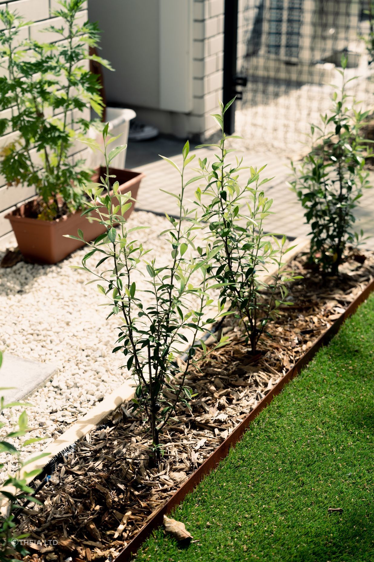 Residential Landscape Mt Albert