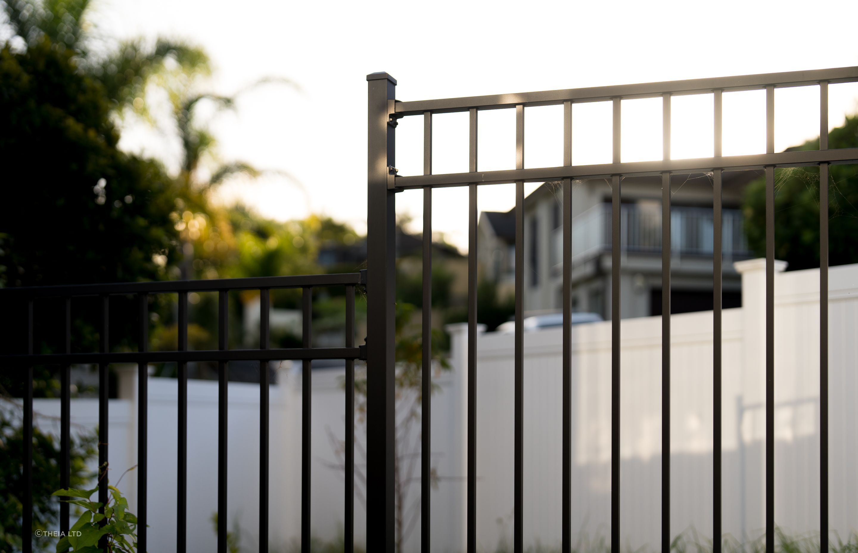 Residential Landscape Hobsonville