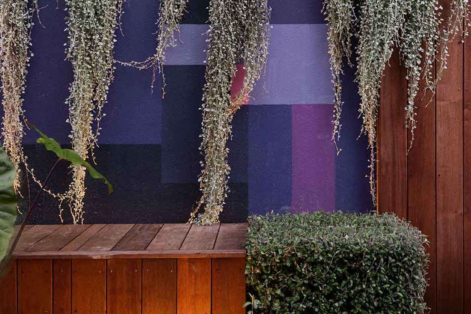 Lilac Heaven in Remuera