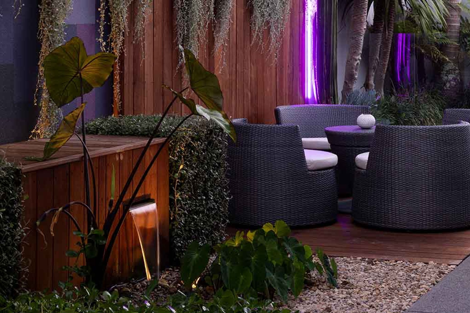 Lilac Heaven in Remuera