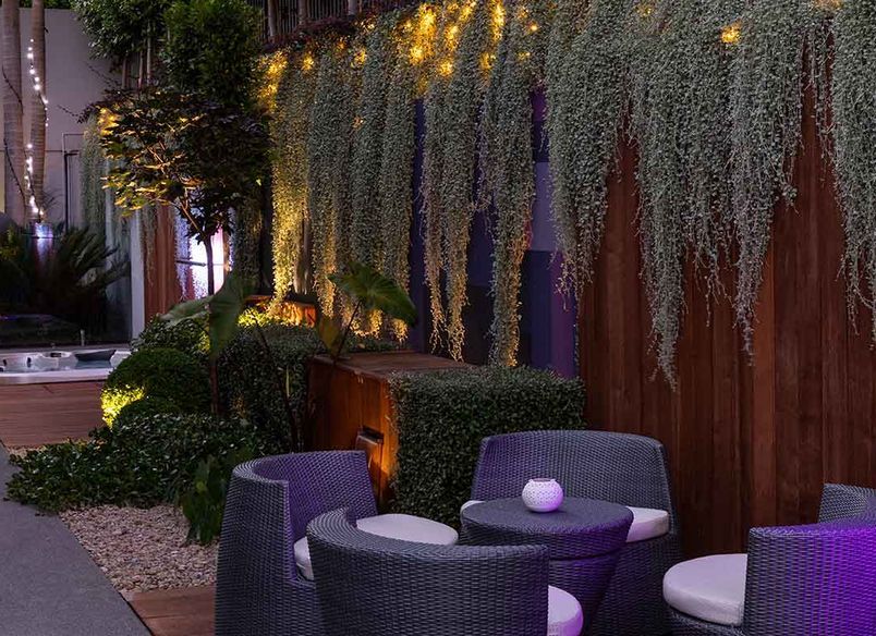 Lilac Heaven in Remuera