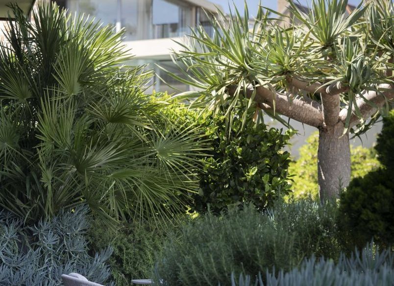 Harbour House - The Rooftop