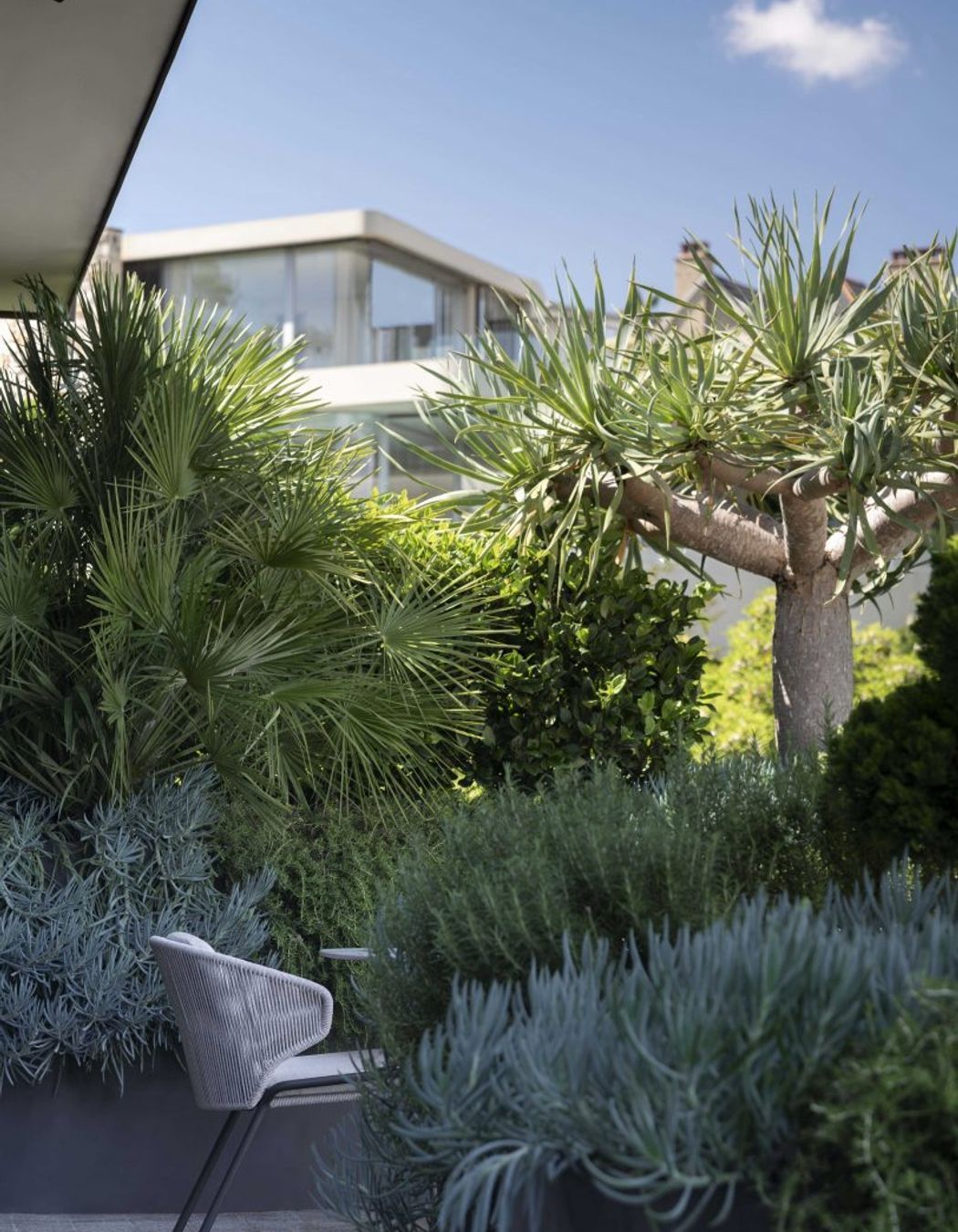 Harbour House - The Rooftop