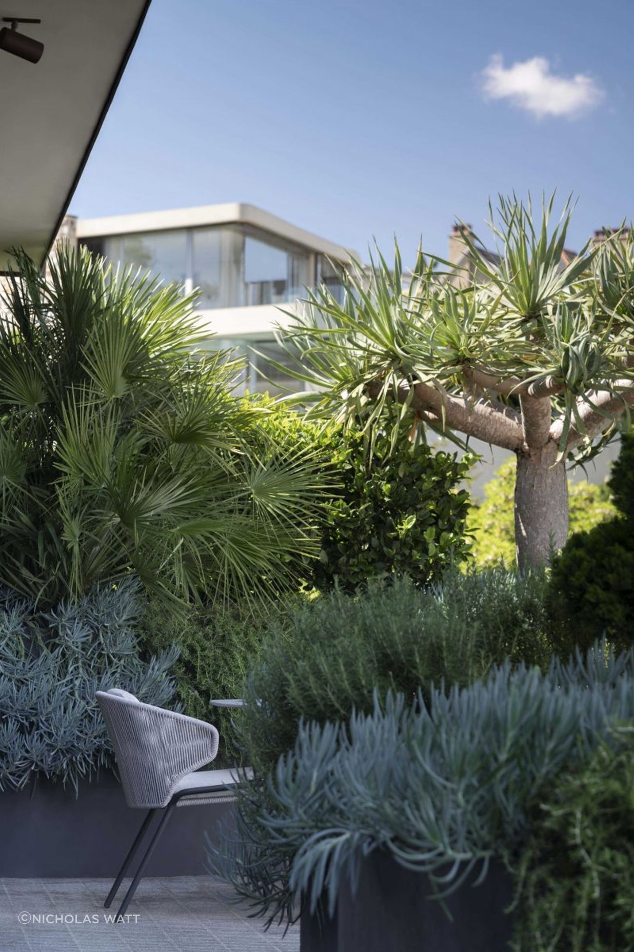 Harbour House - The Rooftop
