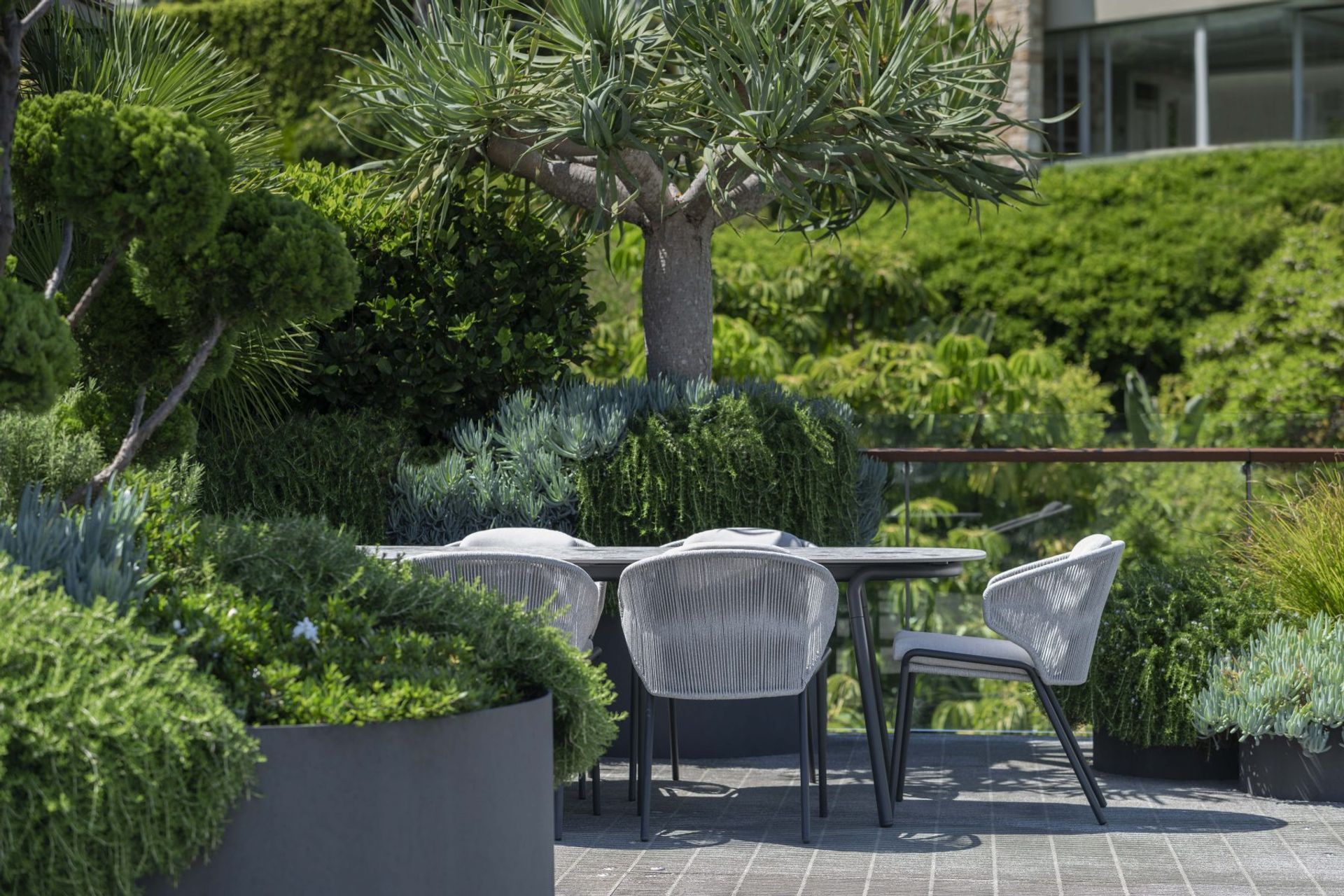 Harbour House - The Rooftop