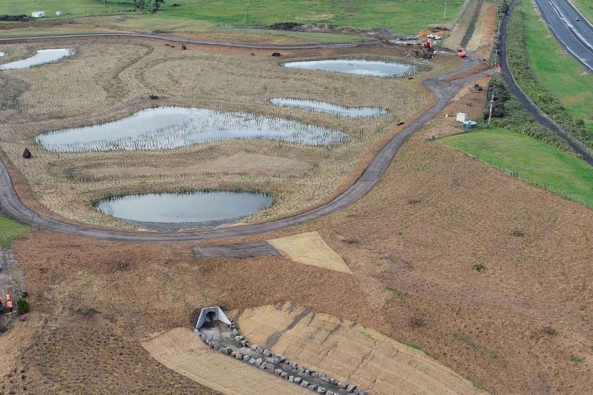 Wairaki Pond G