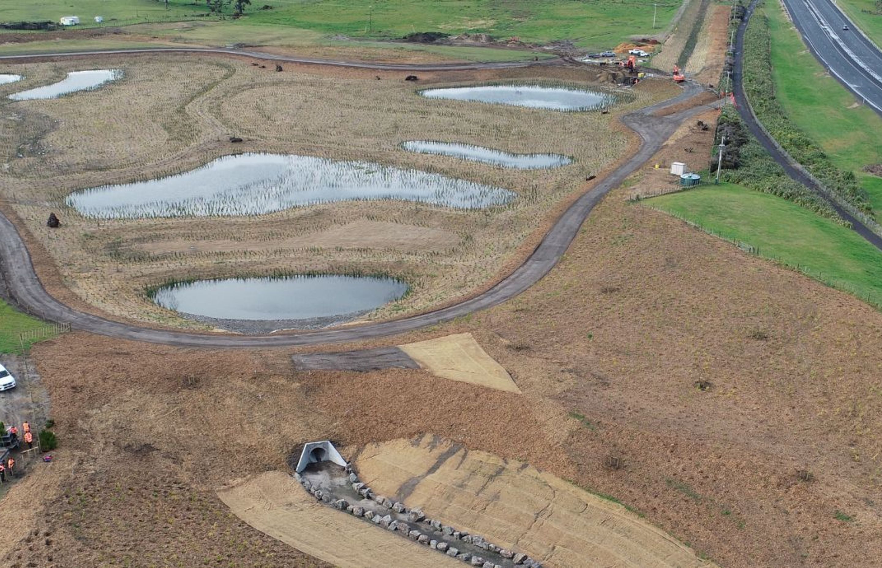 Wairaki Pond G