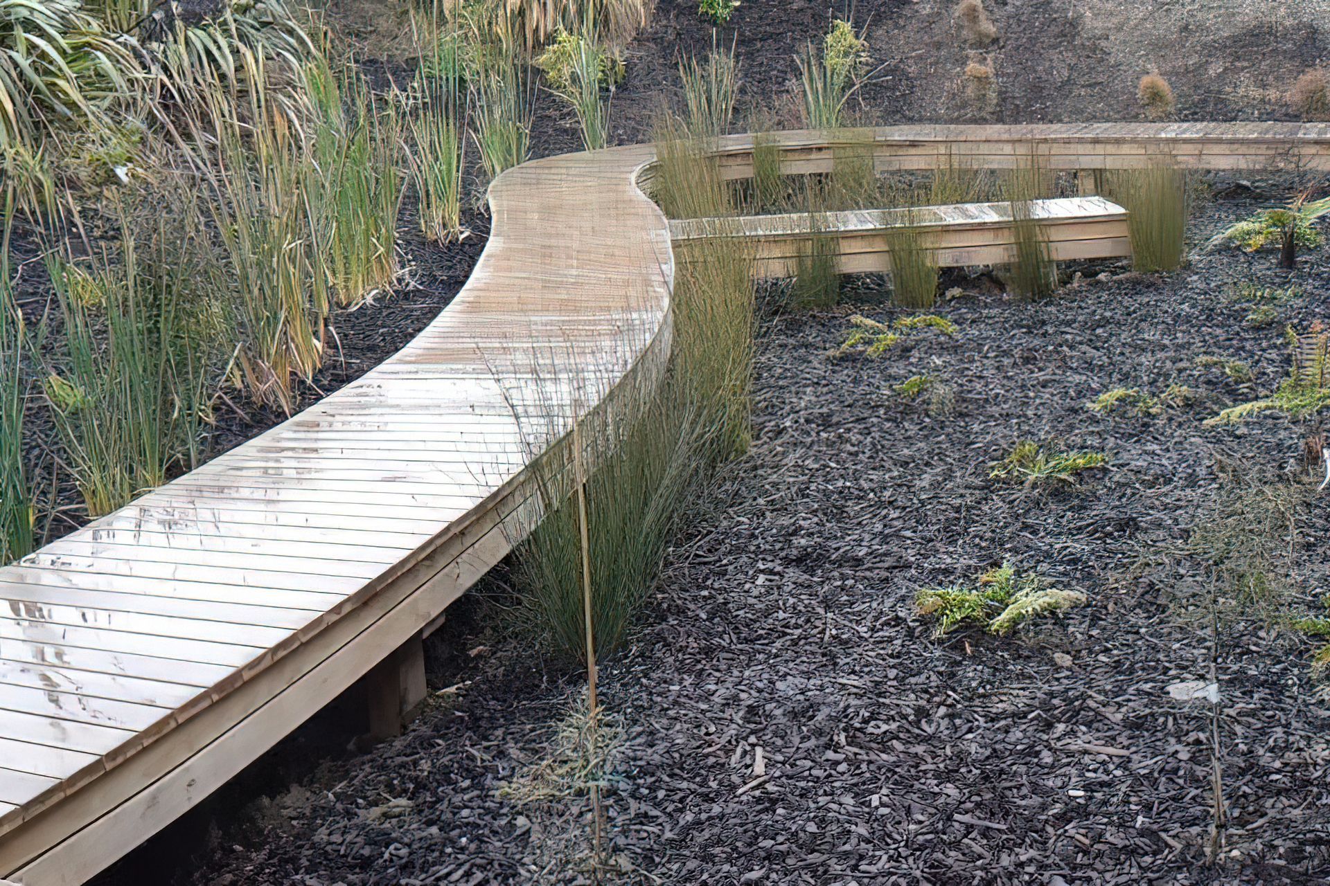 Kaka Pt Boardwalk Garden