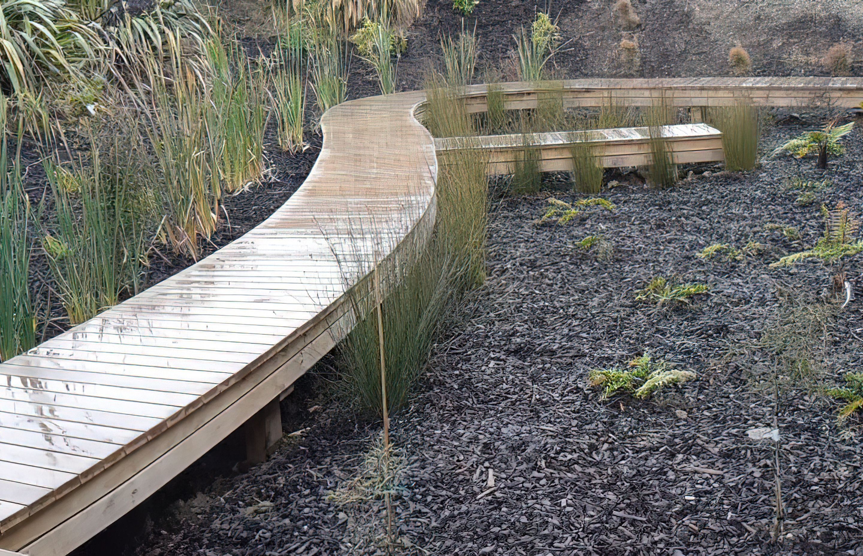 Kaka Pt Boardwalk Garden