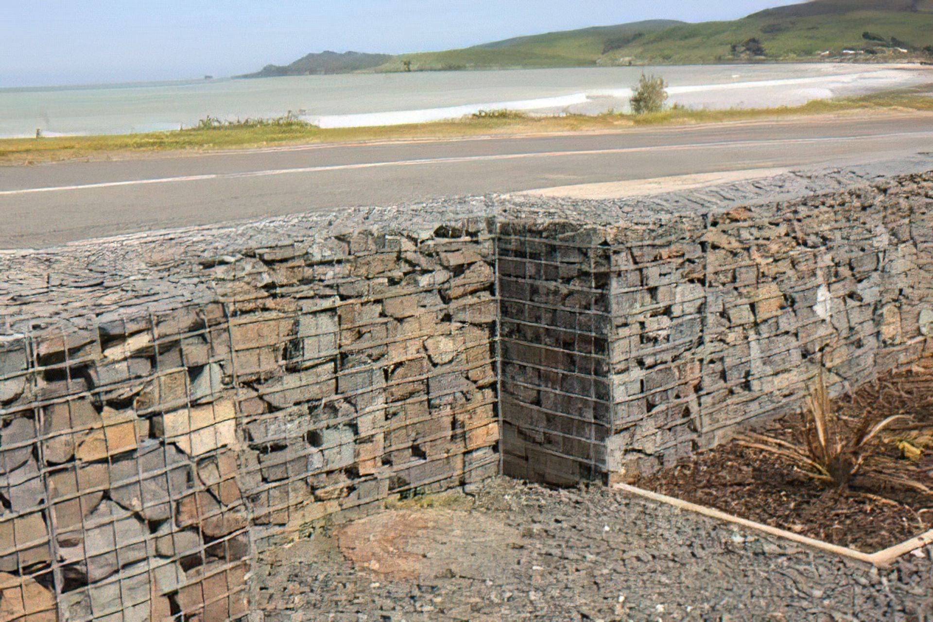 Kaka Pt Boardwalk Garden