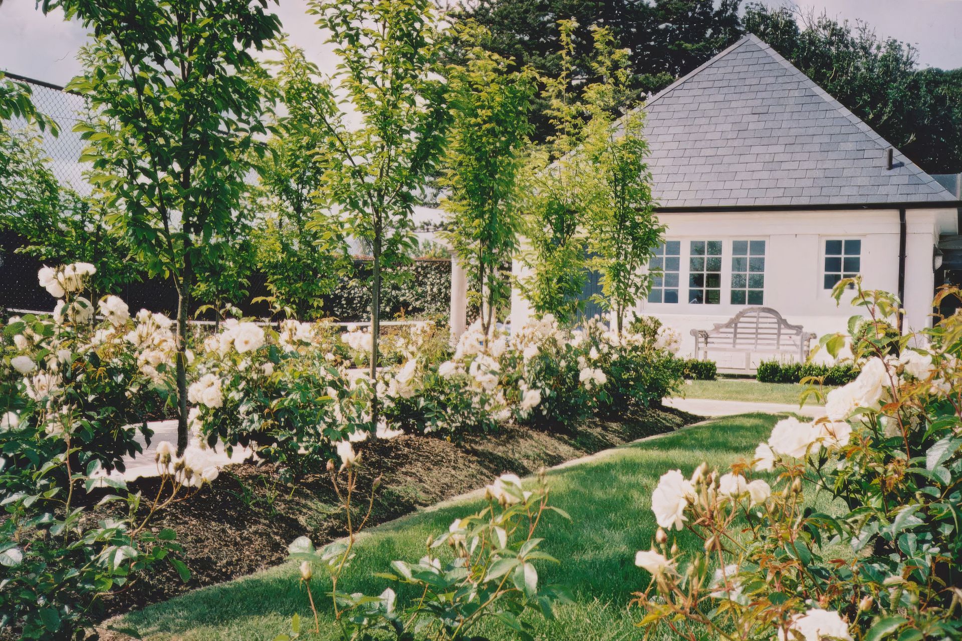 WhitfordEstateAuckland-OutlookLandscapes-0934824001518146872-upscaled-by-Replicate.jpg