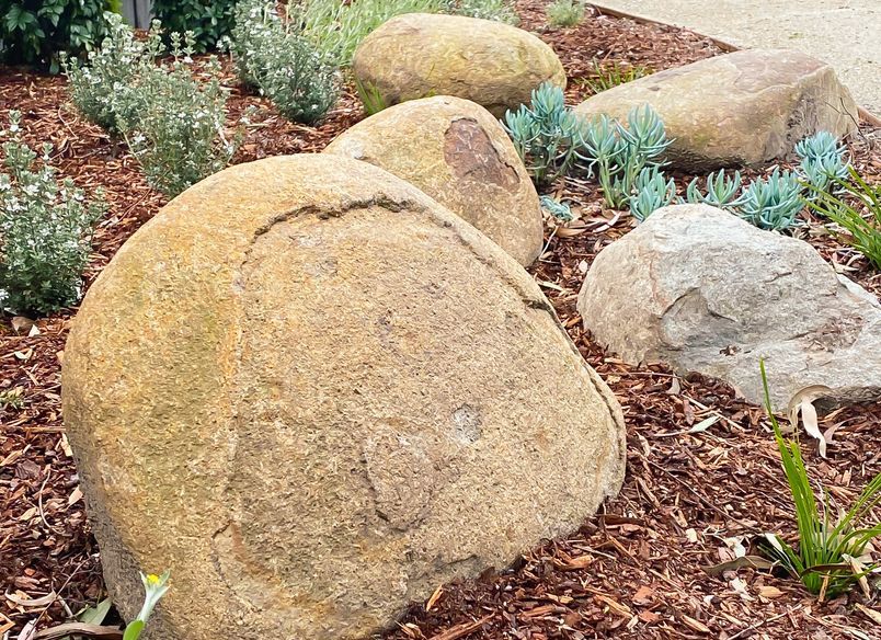 Wonga Road Project - Ringwood North