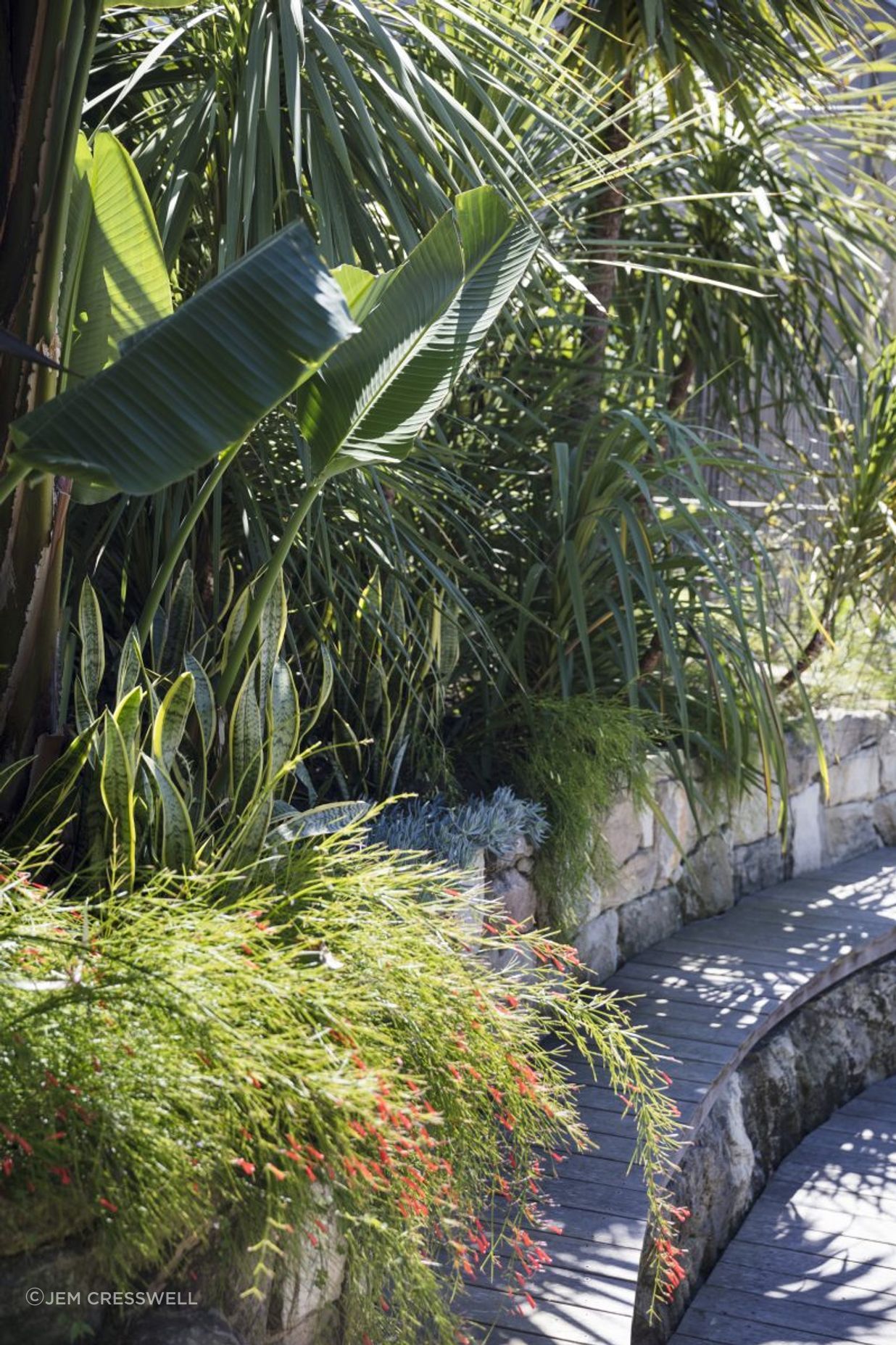 Beachside Garden