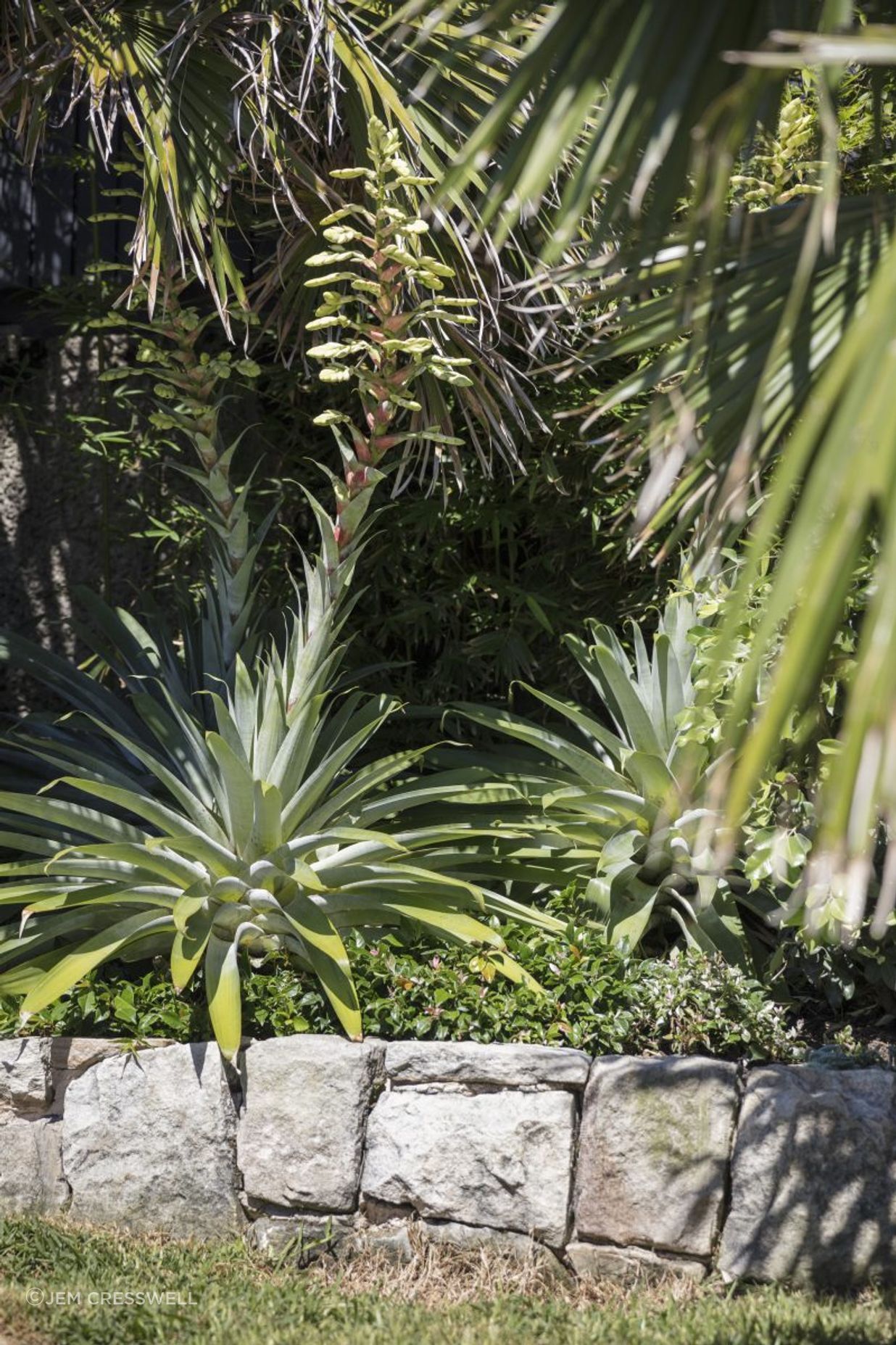 Beachside Garden